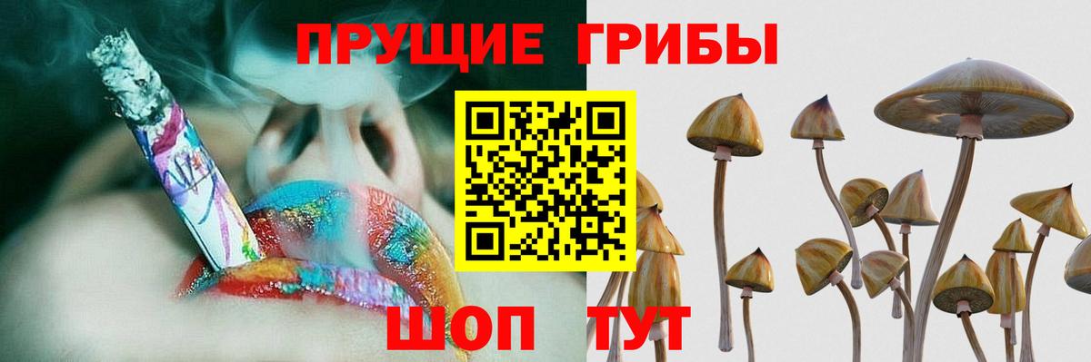 Самара  Псилоцибиновые грибы Psilocybe  Вход с VPN 